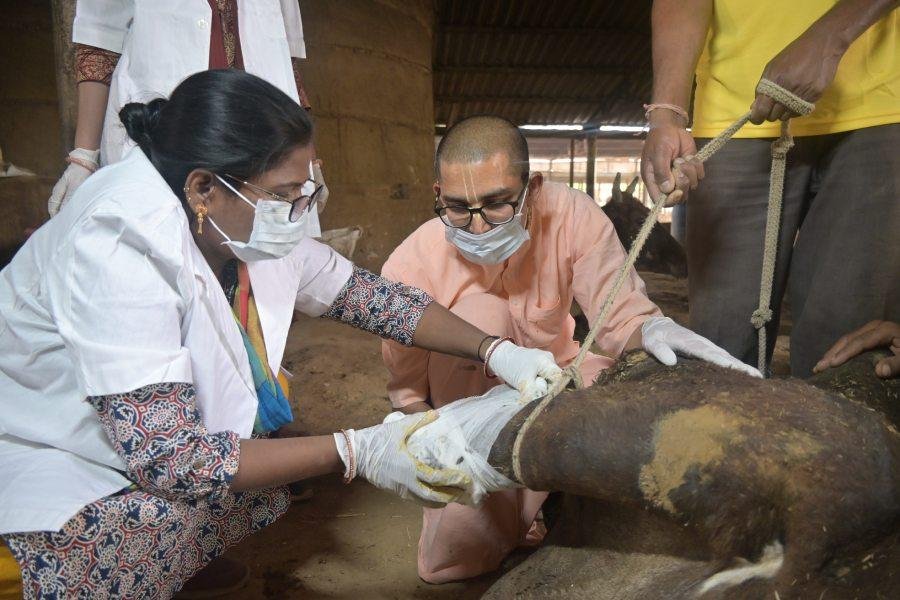 स्वास्थ्य देखभाल